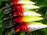 vobleriai Popper Crankbaits Wakebait, Rattling Jerkbaits, pintas valas (4)