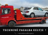 AUTOMOBILIŲ PRIEKABŲ NUOMA - Platformų Priekabų Traliuko Nuoma 24 7 37062387452 (2)